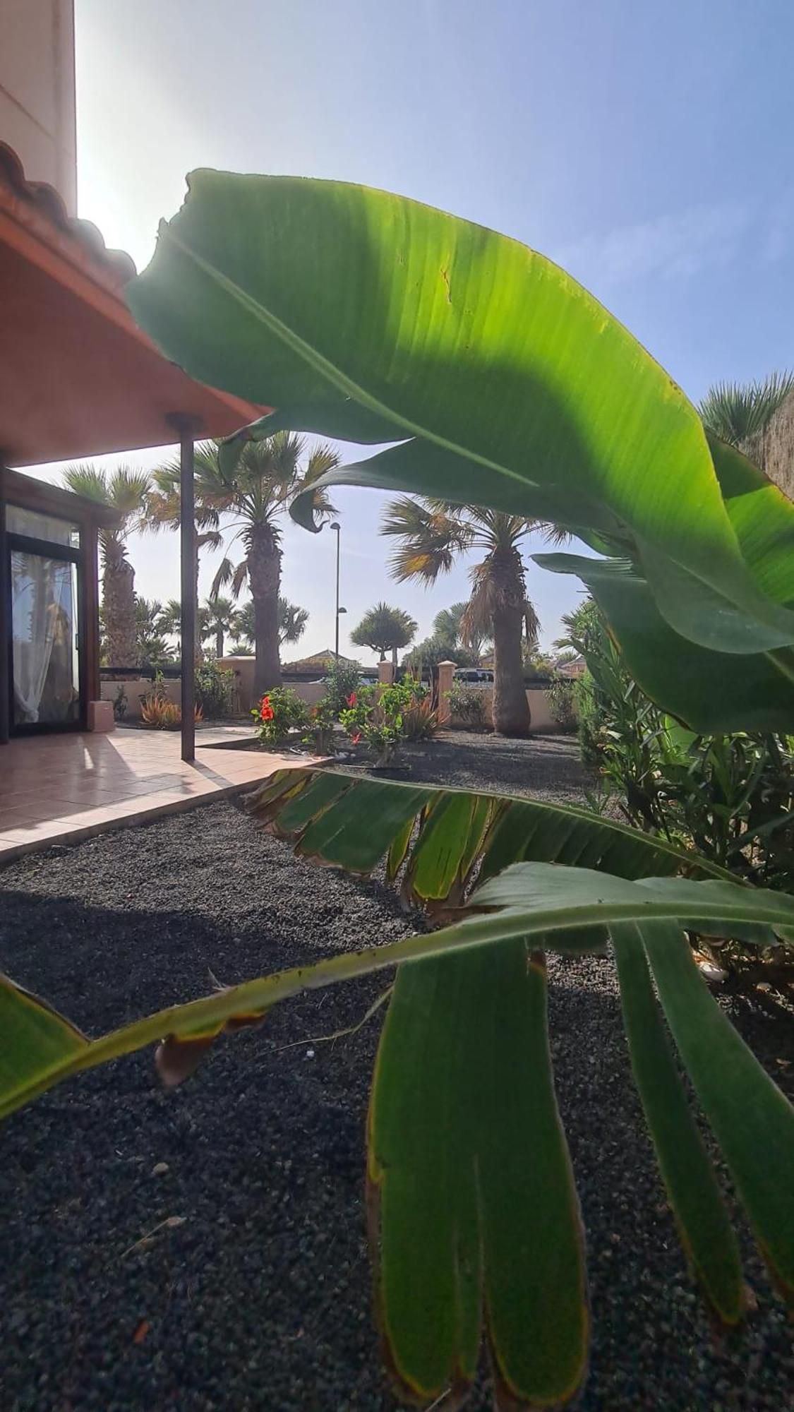 Green Ocean House - Origo Mare Lajares Exterior foto